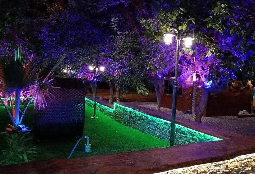 Отель Sarigerme New Gate