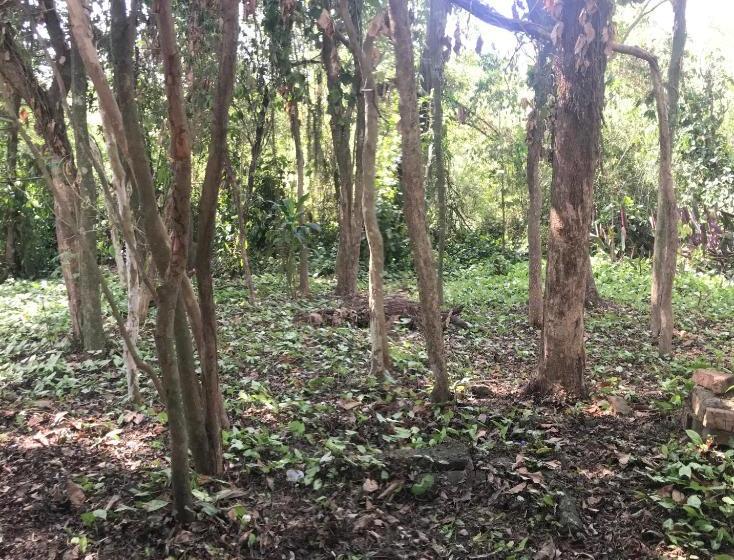 فندق Tunel Verde