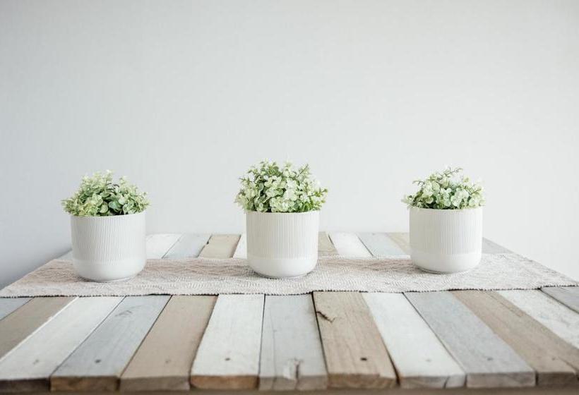 פנסיון The Perfect Corner Guesthouse