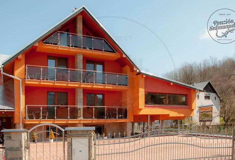 ペンション Penzion Salamander