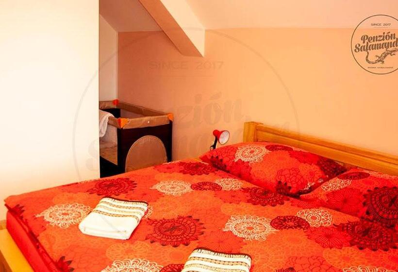 ペンション Penzion Salamander