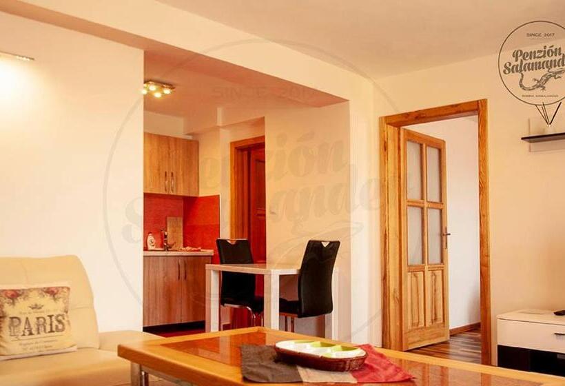 ペンション Penzion Salamander