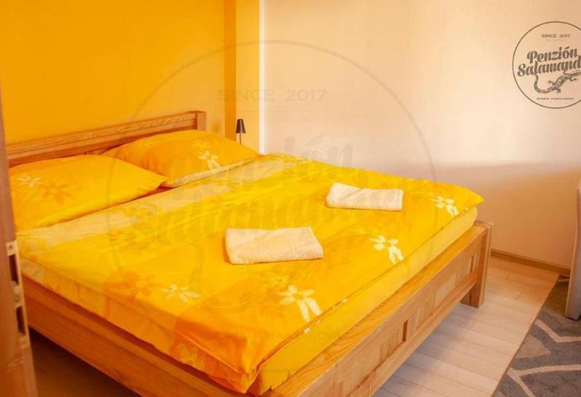 ペンション Penzion Salamander