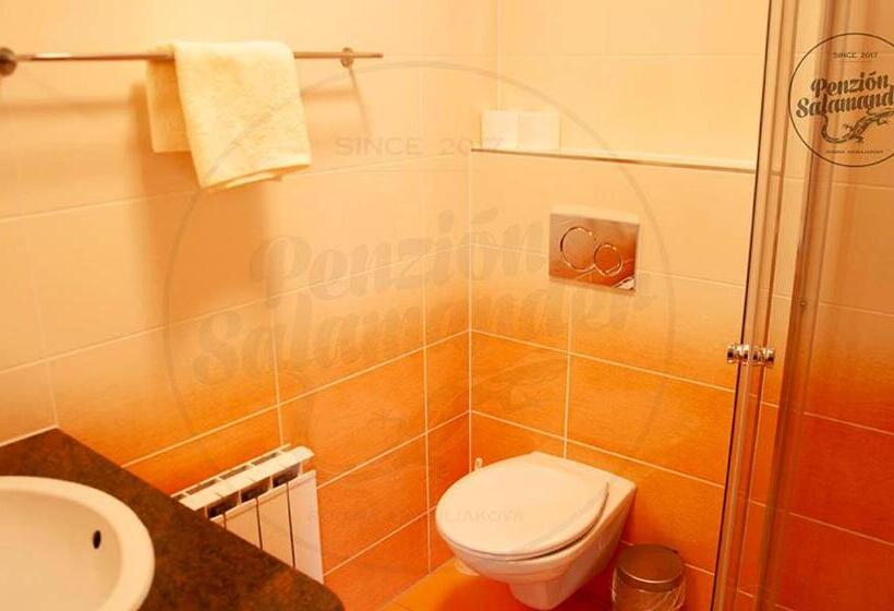 ペンション Penzion Salamander