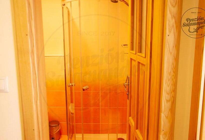 ペンション Penzion Salamander