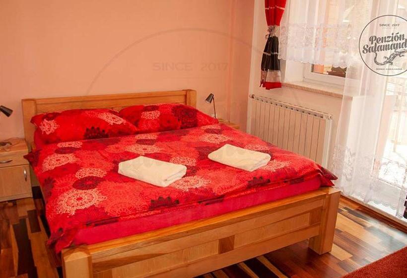 ペンション Penzion Salamander