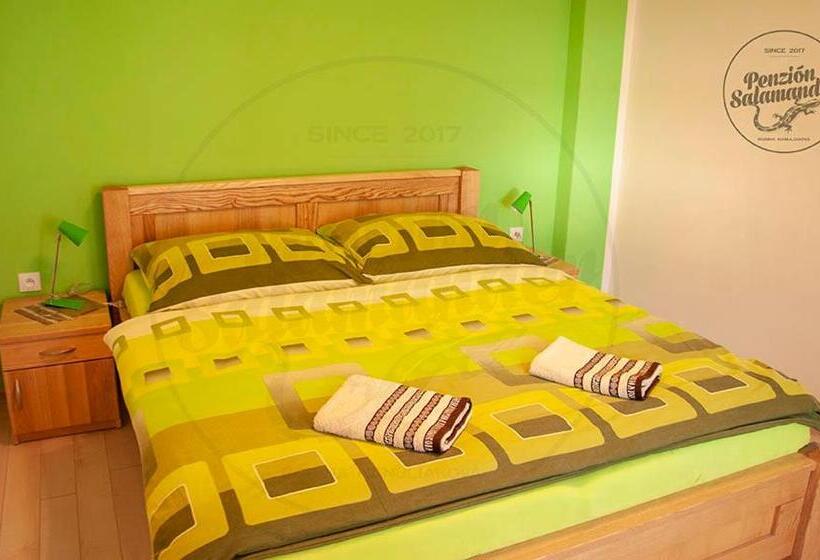 ペンション Penzion Salamander