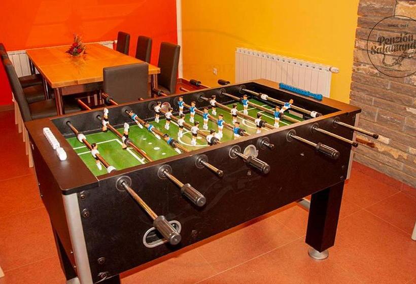 ペンション Penzion Salamander