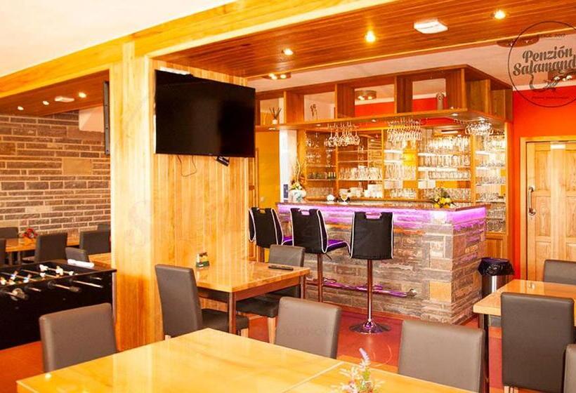 ペンション Penzion Salamander