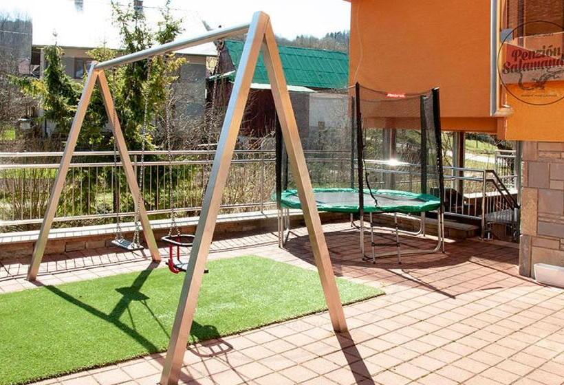 ペンション Penzion Salamander