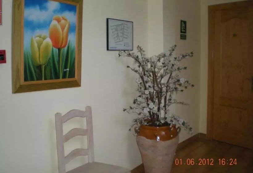 Apartamentos Casanova