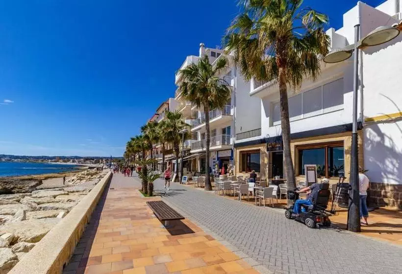 Realrent Portxabia