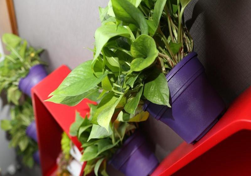 Thank Inn Chain Hotel Heilongjiang Harbin Songbei District Ice And Snow World