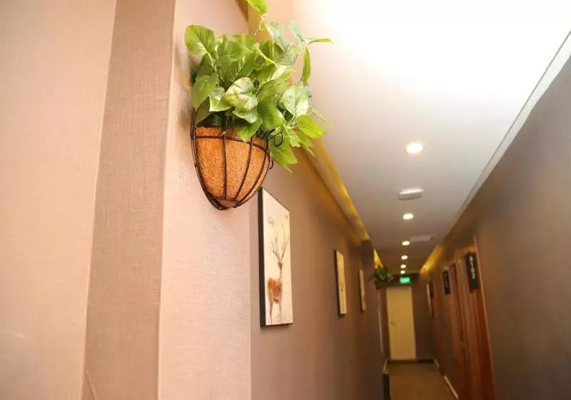 Thank Inn Chain Hotel Heilongjiang Harbin Songbei District Ice And Snow World