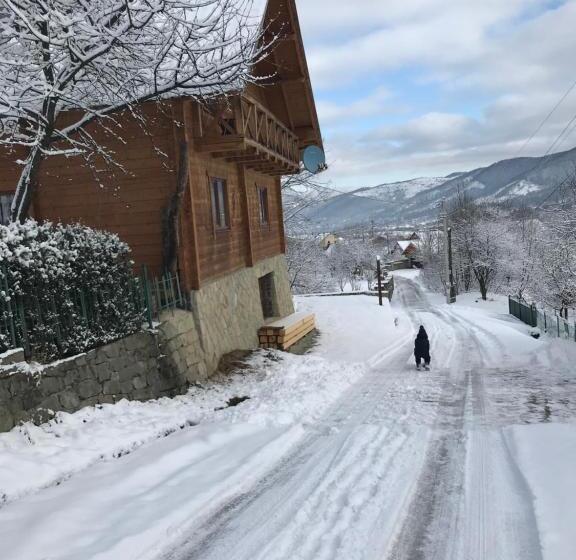 بنسيون 4 Cезони