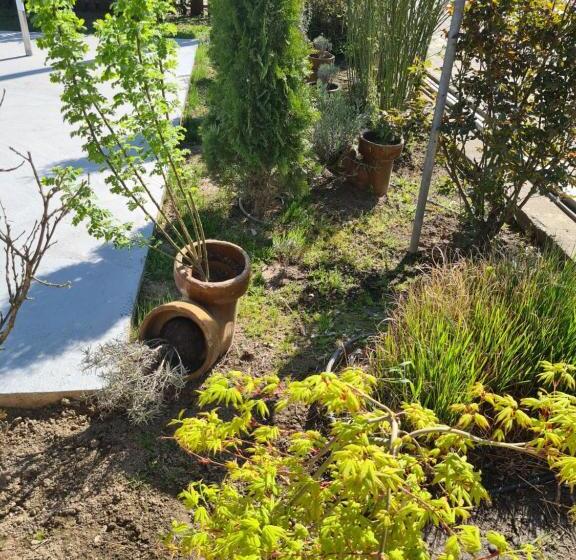 Garni Hotel & Spa Nicolo