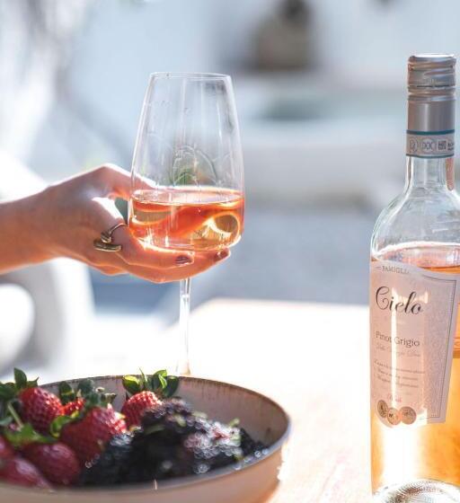 בית מלון כפרי Kurabiye