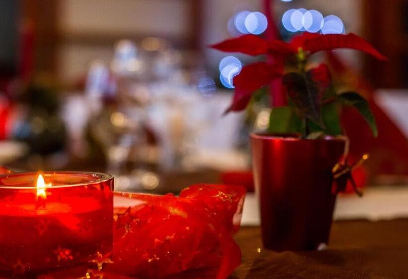 فندق Penzion Fit   Contactless Check In