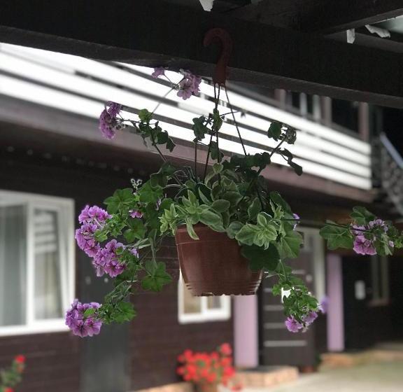 پانسیون барнаба