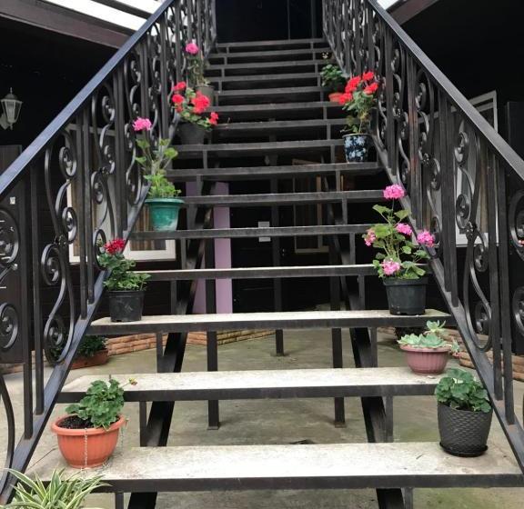 پانسیون барнаба