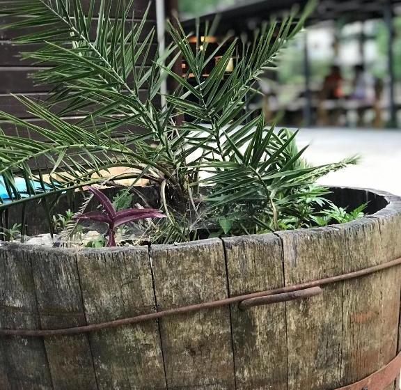 پانسیون барнаба