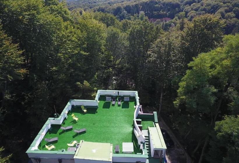 펜션 Former Ceausescu's Vila Crizantema