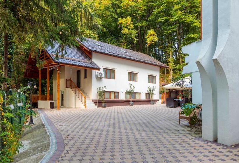 펜션 Former Ceausescu's Vila Crizantema