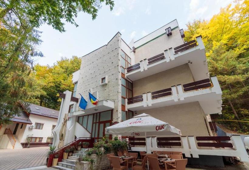 펜션 Former Ceausescu's Vila Crizantema