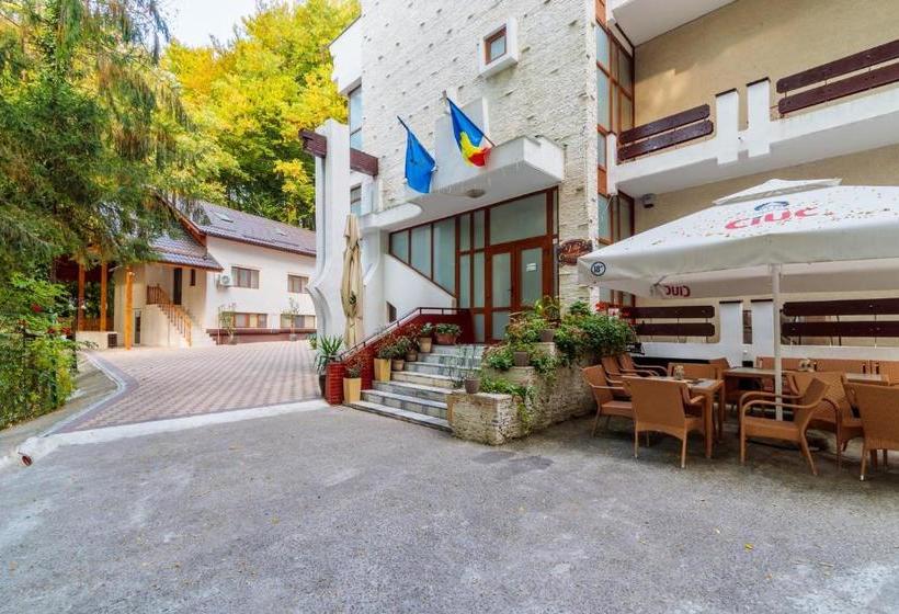 펜션 Former Ceausescu's Vila Crizantema