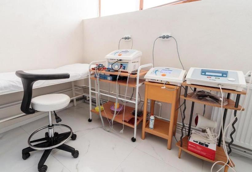 펜션 Former Ceausescu's Vila Crizantema