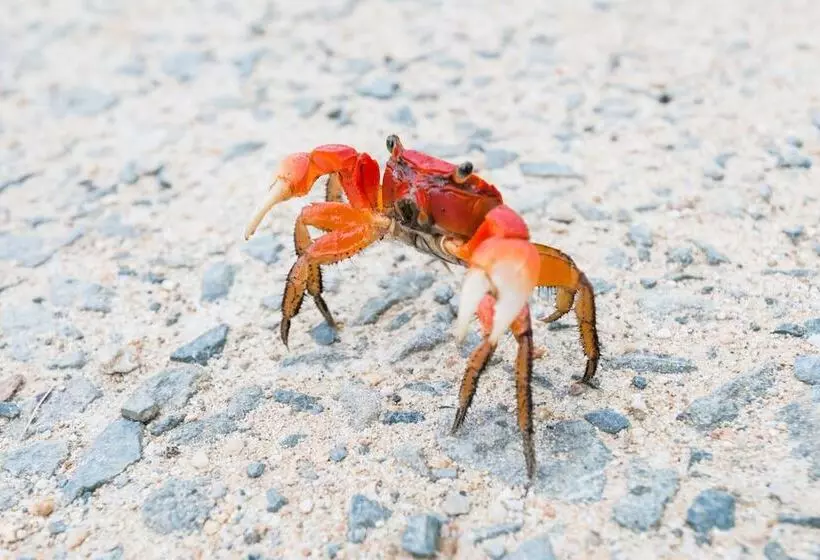 هتل Nordisk Village Goto Islands