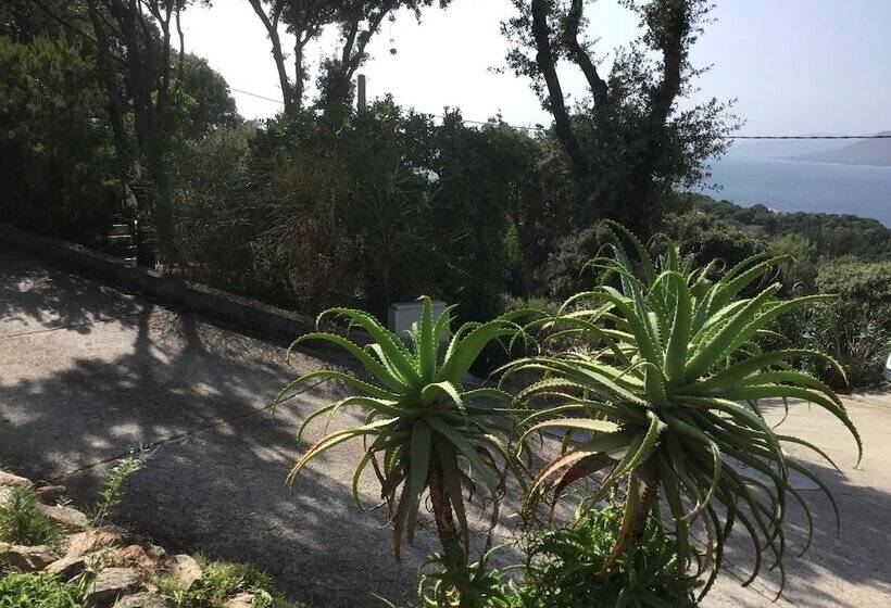 Bed and Breakfast Chambres D Hôtes île De Beauté