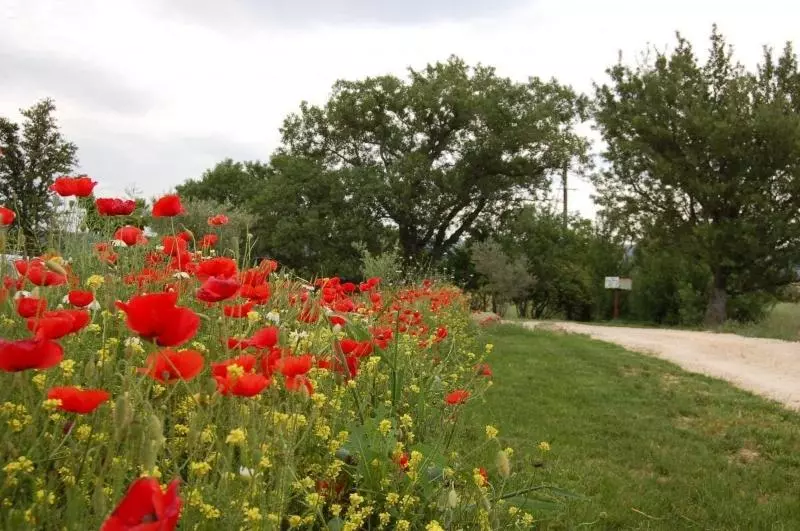 Château De Bessas Gîtes
