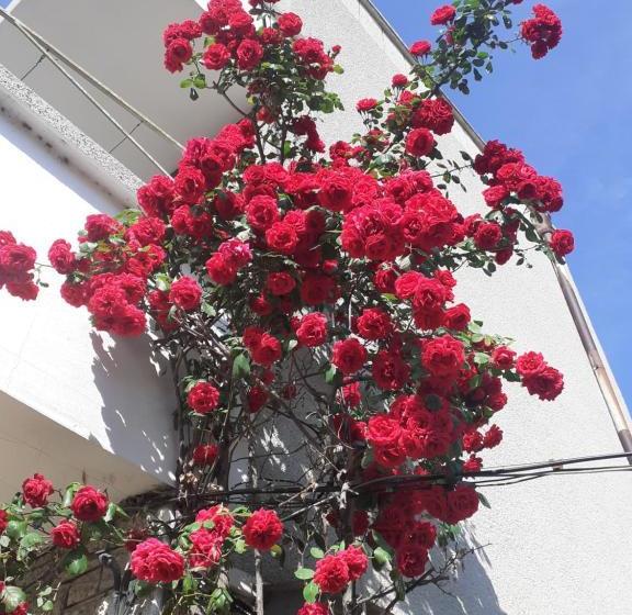 پانسیون Kraybrezhna 3