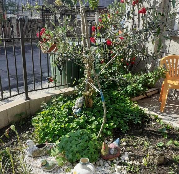 پانسیون Kraybrezhna 3