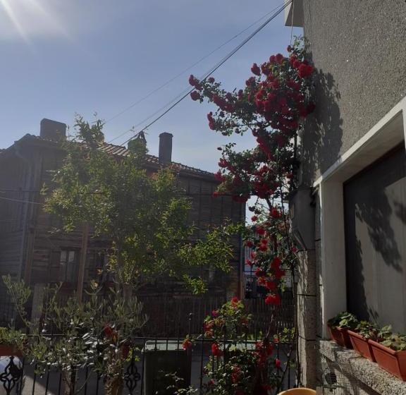 پانسیون Kraybrezhna 3