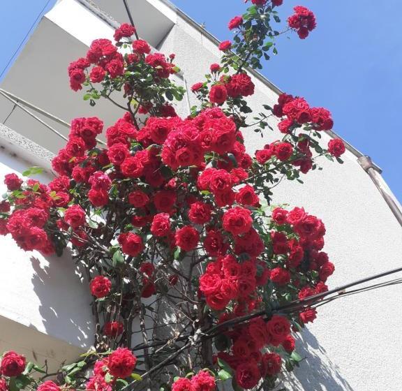 پانسیون Kraybrezhna 3