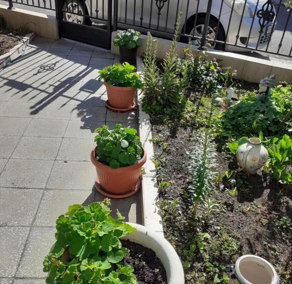 پانسیون Kraybrezhna 3