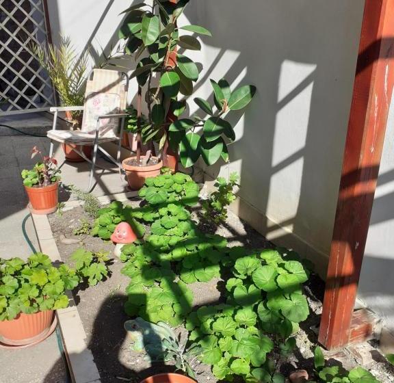 پانسیون Kraybrezhna 3