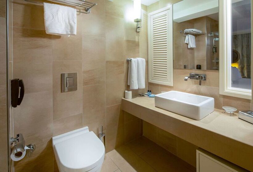 酒店 Titanic Comfort Sisli