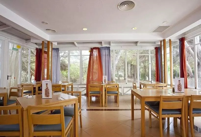 Seth Mestral & Llebeig