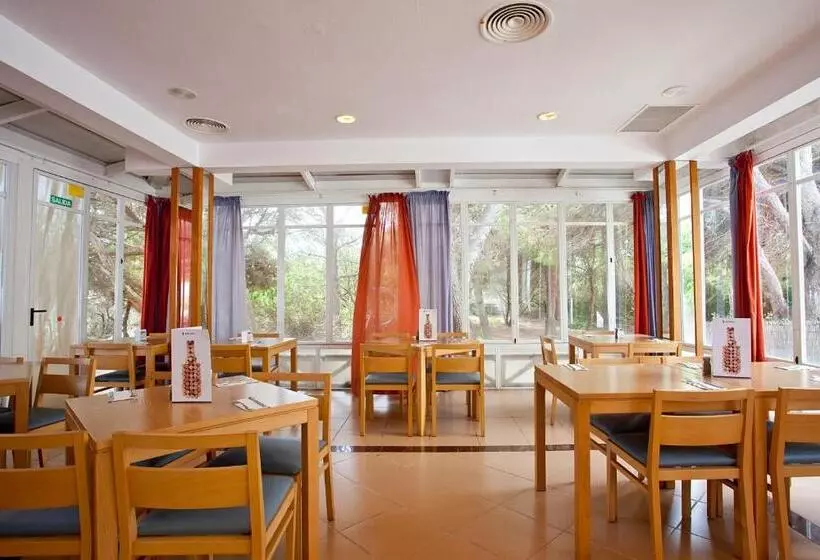 Seth Mestral & Llebeig