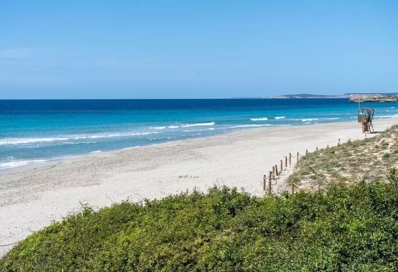 Seth Mestral & Llebeig