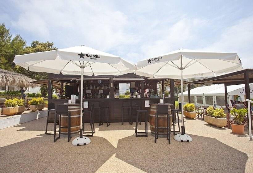 Seth Mestral & Llebeig