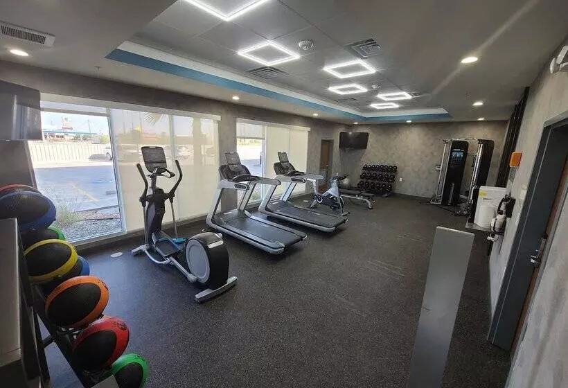 Hotelli La Quinta Inn & Suites By Wyndham Fort Stockton Northeast