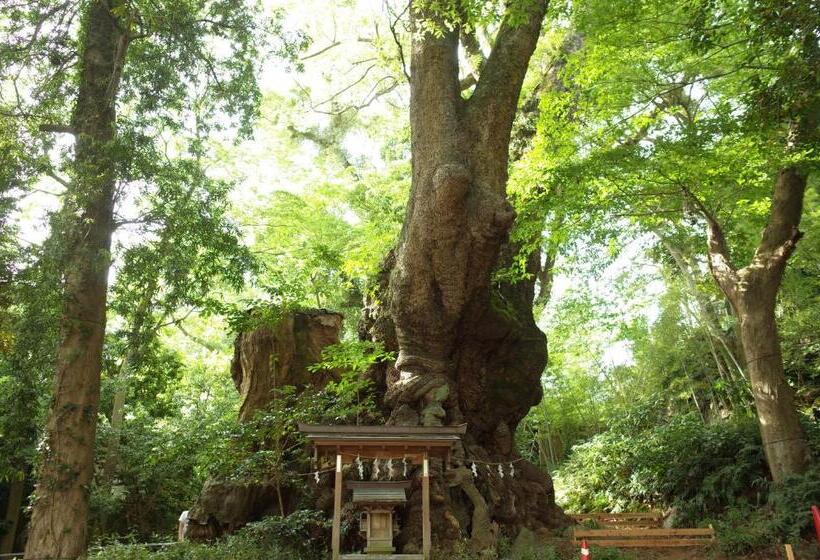 فندق صغير Bnb+atami Resort