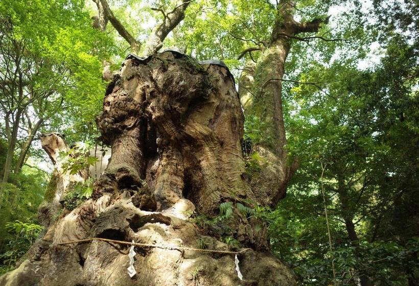 فندق صغير Bnb+atami Resort