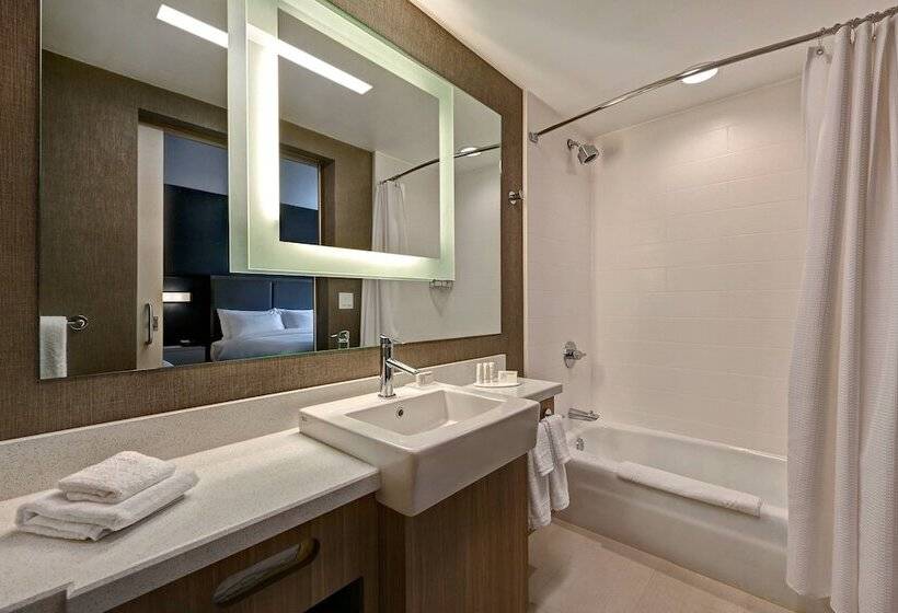 فندق Springhill Suites By Marriott Albuquerque University Area