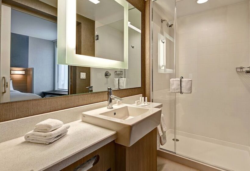 فندق Springhill Suites By Marriott Albuquerque University Area