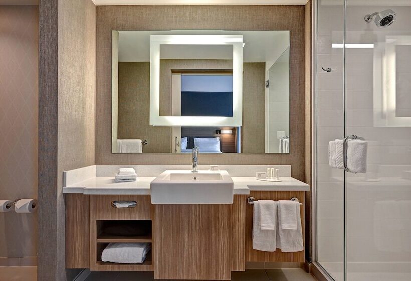 فندق Springhill Suites By Marriott Albuquerque University Area